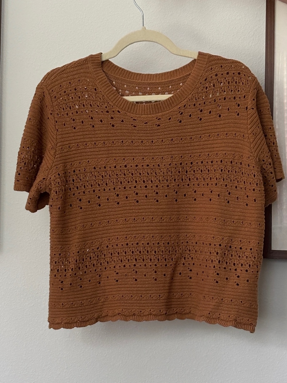 Brown Crochet Short-Sleeve Sweater Top